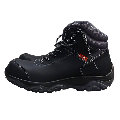 Bota-dielectrica